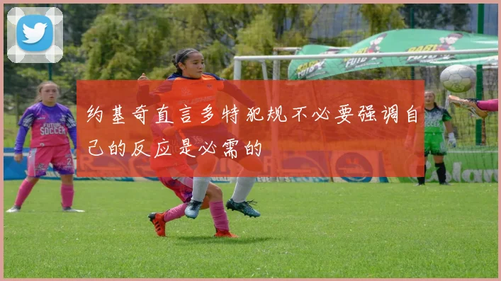 约基奇直言多特犯规不必要强调自己的反应是必需的